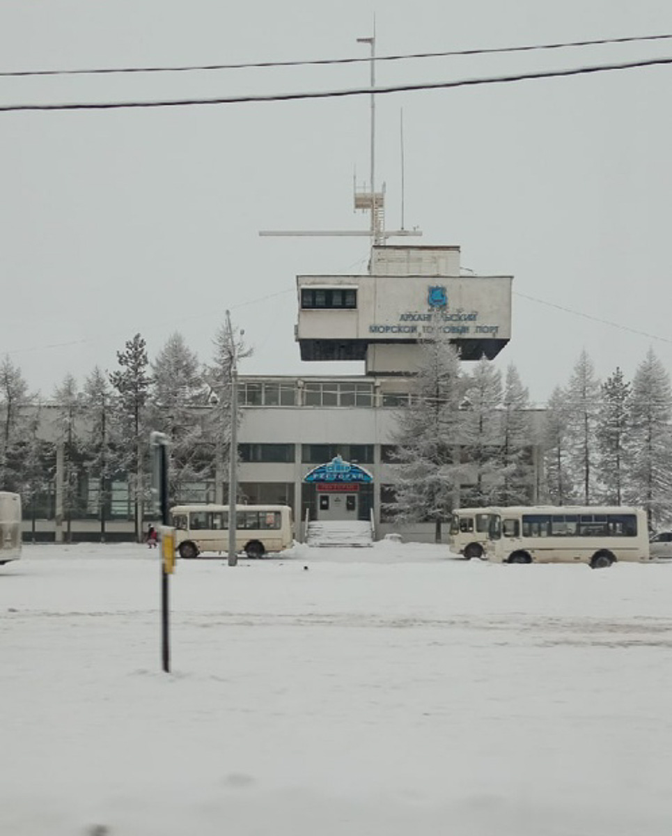 Зимой кто-то мечтает о теплых островах, а кто-то отважно отправляется на охоту за северным сиянием. Самые морозостойкие владимирцы пошли по второму пути. И вот какие поездки у них получились.