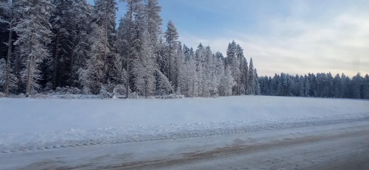 Зимой кто-то мечтает о теплых островах, а кто-то отважно отправляется на охоту за северным сиянием. Самые морозостойкие владимирцы пошли по второму пути. И вот какие поездки у них получились.