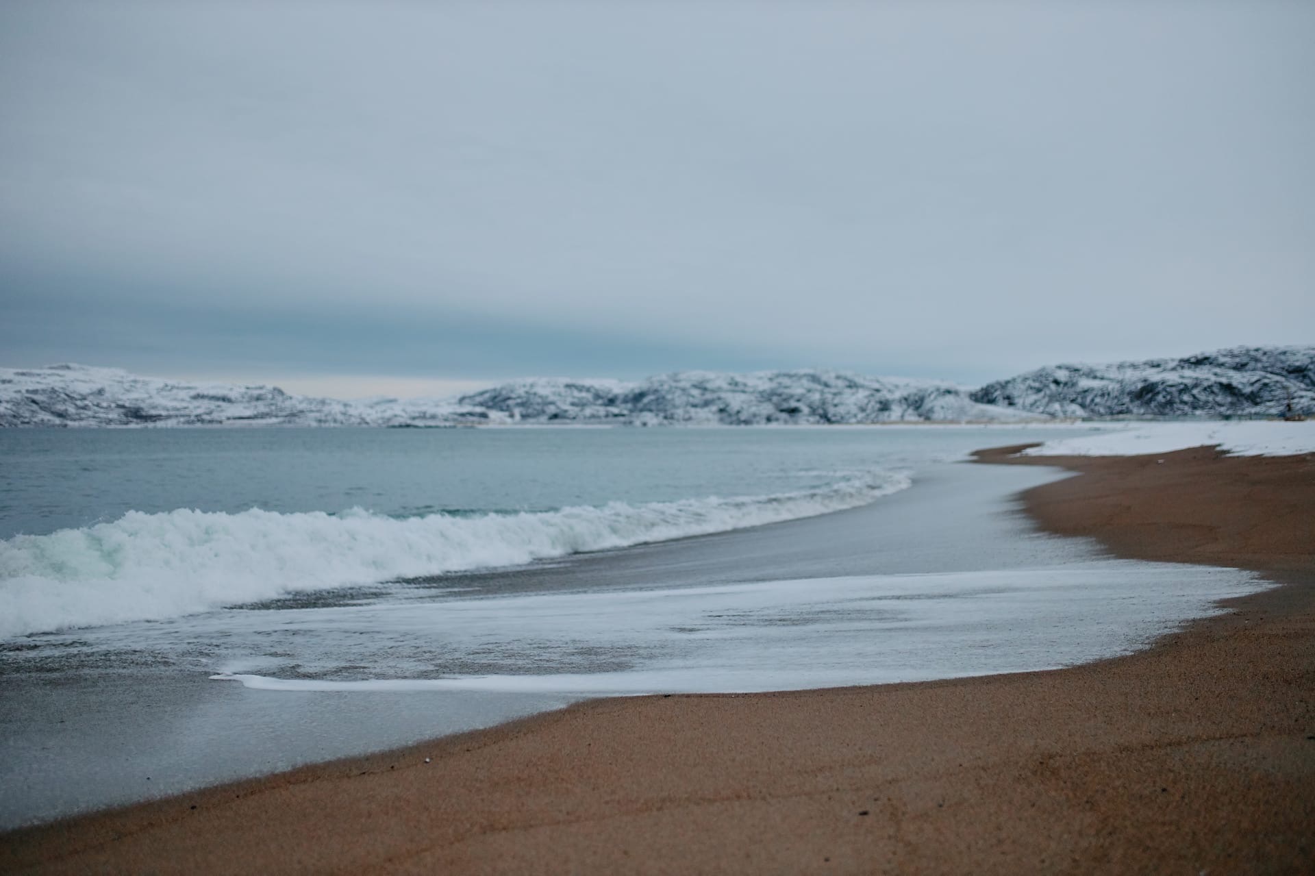 Зимой кто-то мечтает о теплых островах, а кто-то отважно отправляется на охоту за северным сиянием. Самые морозостойкие владимирцы пошли по второму пути. И вот какие поездки у них получились.