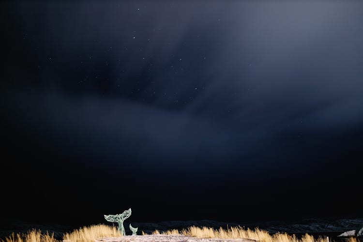 Зимой кто-то мечтает о теплых островах, а кто-то отважно отправляется на охоту за северным сиянием. Самые морозостойкие владимирцы пошли по второму пути. И вот какие поездки у них получились.