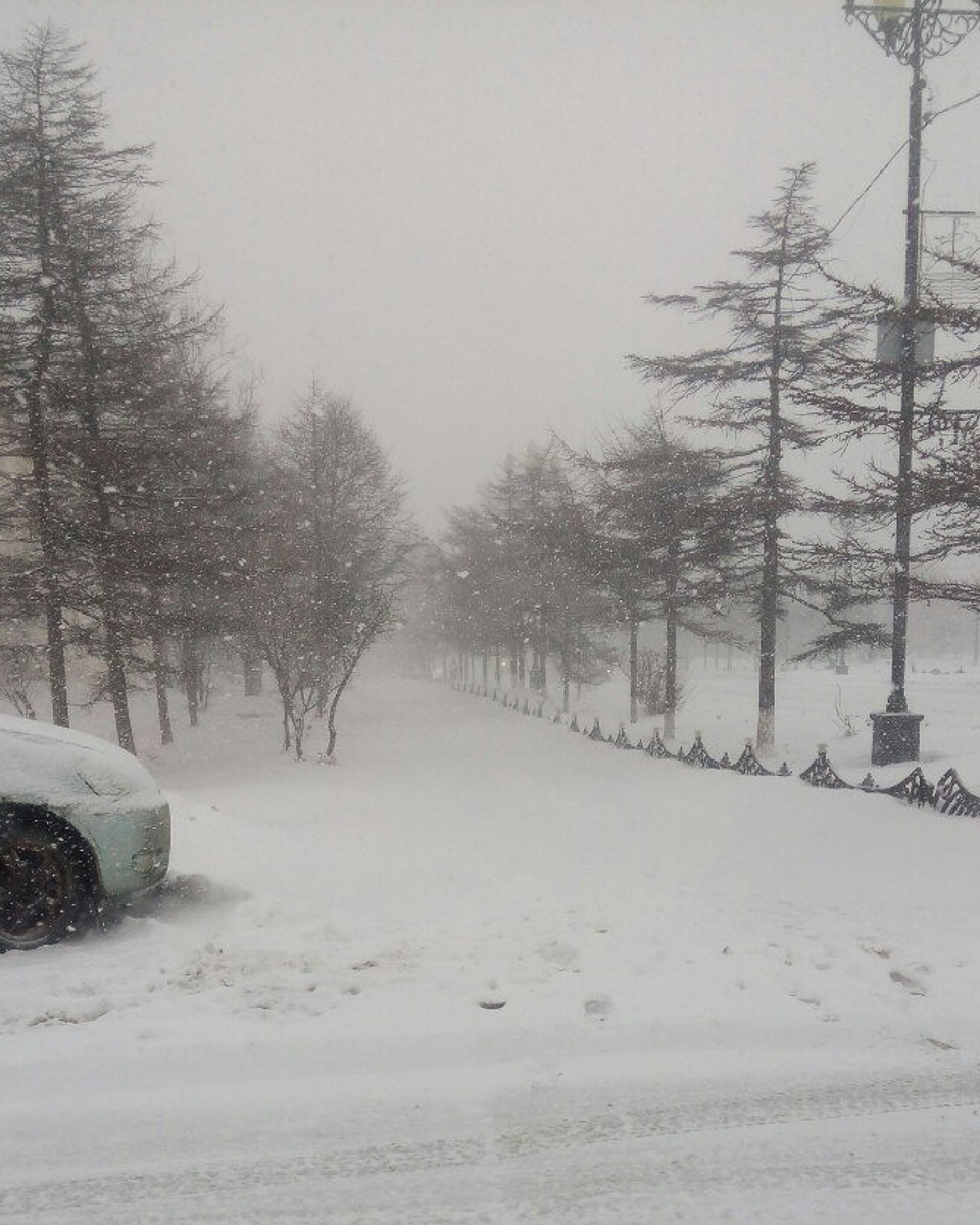 Зимой кто-то мечтает о теплых островах, а кто-то отважно отправляется на охоту за северным сиянием. Самые морозостойкие владимирцы пошли по второму пути. И вот какие поездки у них получились.