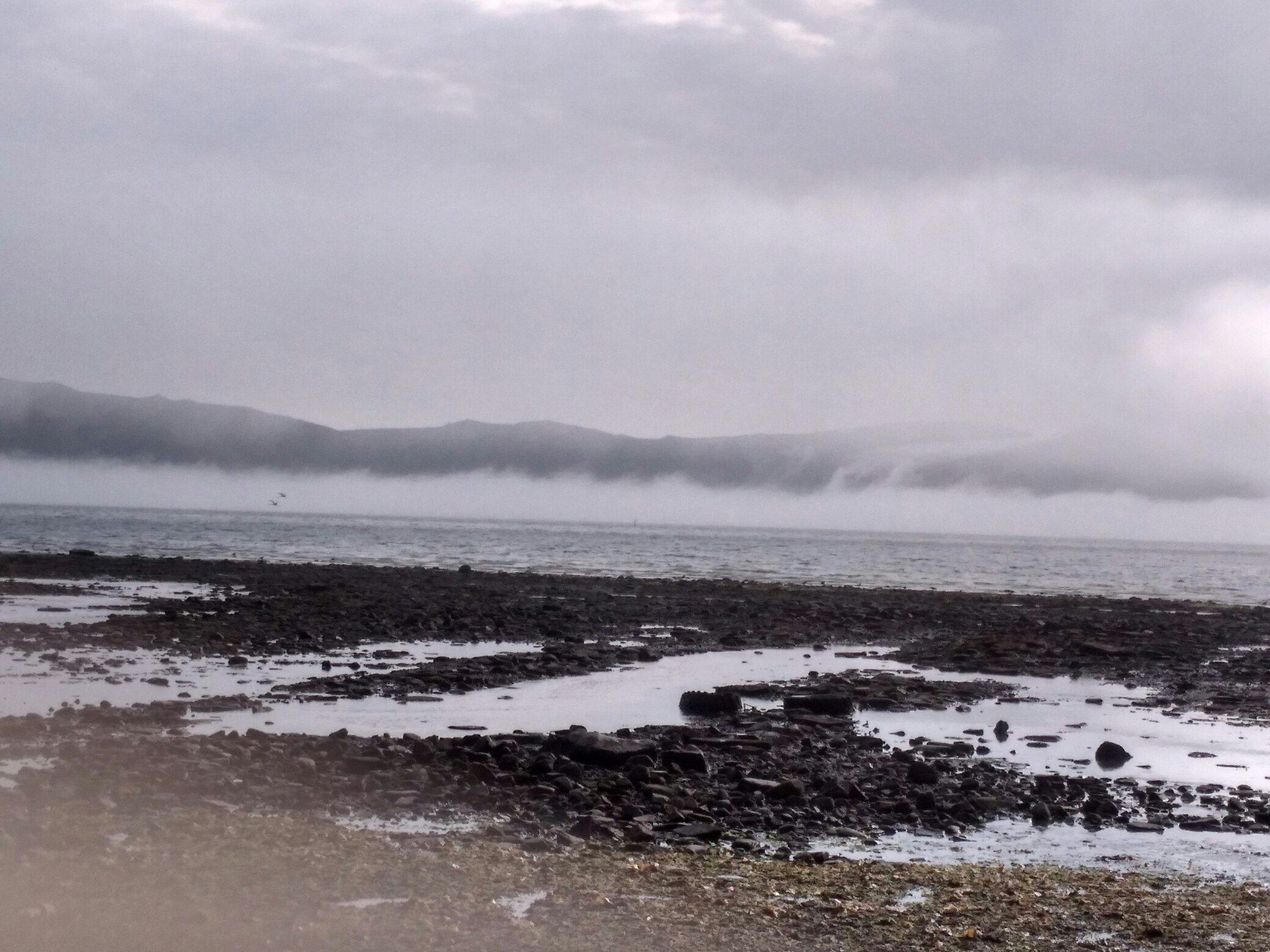 Зимой кто-то мечтает о теплых островах, а кто-то отважно отправляется на охоту за северным сиянием. Самые морозостойкие владимирцы пошли по второму пути. И вот какие поездки у них получились.