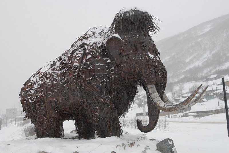 Зимой кто-то мечтает о теплых островах, а кто-то отважно отправляется на охоту за северным сиянием. Самые морозостойкие владимирцы пошли по второму пути. И вот какие поездки у них получились.