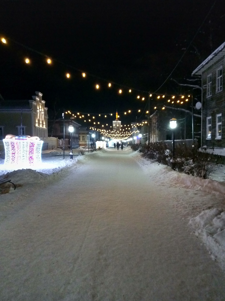 Зимой кто-то мечтает о теплых островах, а кто-то отважно отправляется на охоту за северным сиянием. Самые морозостойкие владимирцы пошли по второму пути. И вот какие поездки у них получились.