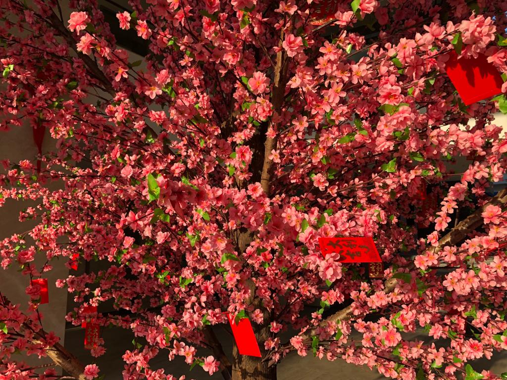 Вопреки пандемии русские и китайцы отмечают во Владимире восточный Новый год с апельсинами и фонариками.