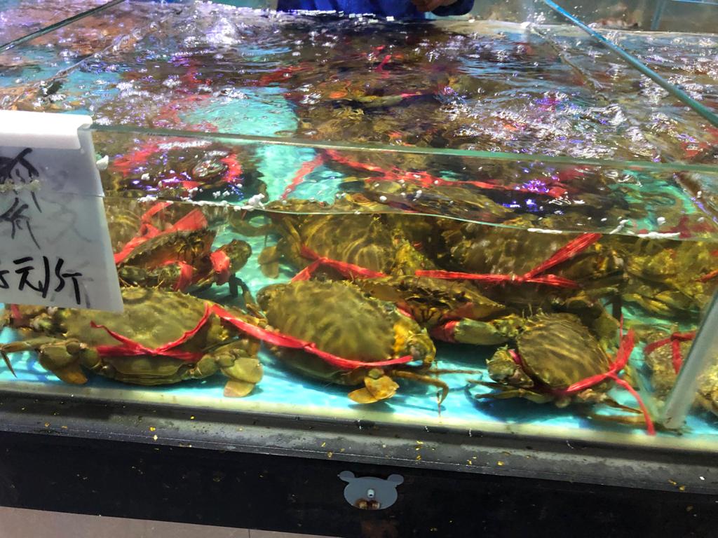 Вопреки пандемии русские и китайцы отмечают во Владимире восточный Новый год с апельсинами и фонариками.