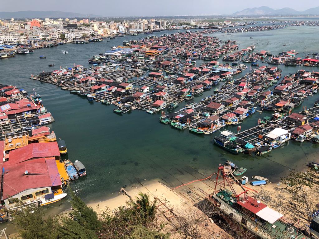 Вопреки пандемии русские и китайцы отмечают во Владимире восточный Новый год с апельсинами и фонариками.