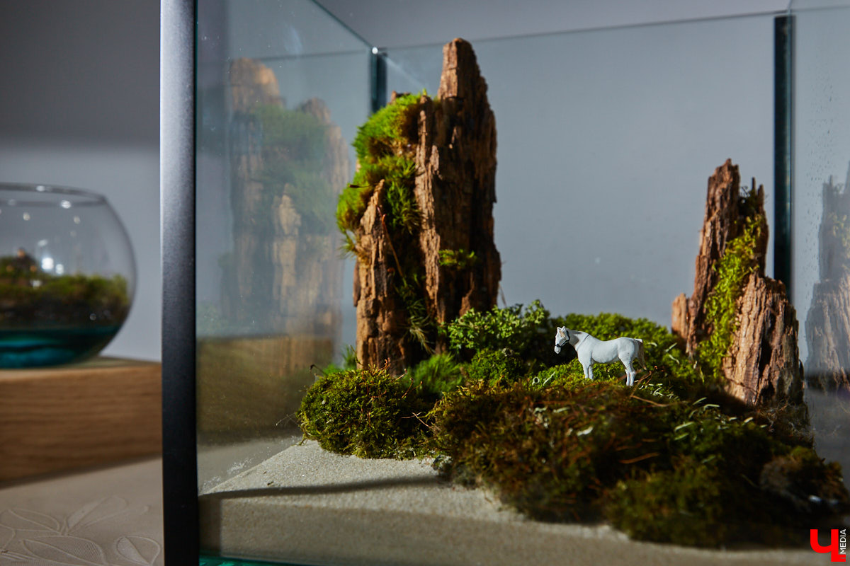 Сувенирных дел мастер из Владимира и его удивительные творения. Как в любой таре уместить персональный мирок с островами и людьми, рассказывает Евгений Красавин.