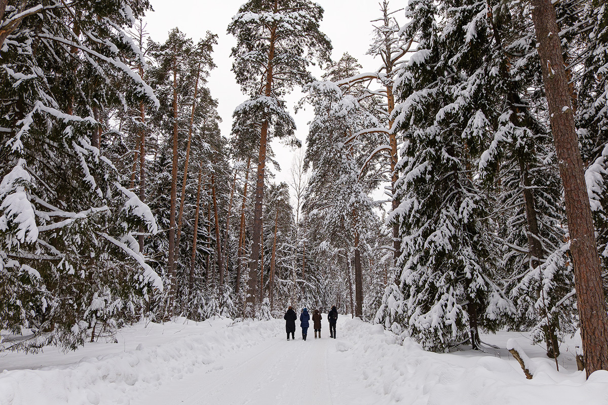 У аномальных мест Владимирской области появилась звуковая карта. Чтобы соединить актуальное искусство и мифологию края, современная художница Ульяна Подкорытова отправилась в исследовательскую экспедицию. И мы вместе с ней.