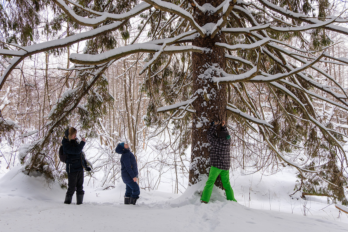 У аномальных мест Владимирской области появилась звуковая карта. Чтобы соединить актуальное искусство и мифологию края, современная художница Ульяна Подкорытова отправилась в исследовательскую экспедицию. И мы вместе с ней.