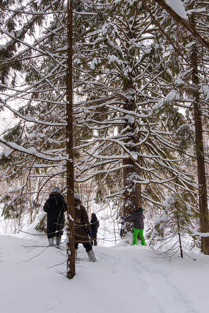 У аномальных мест Владимирской области появилась звуковая карта. Чтобы соединить актуальное искусство и мифологию края, современная художница Ульяна Подкорытова отправилась в исследовательскую экспедицию. И мы вместе с ней.