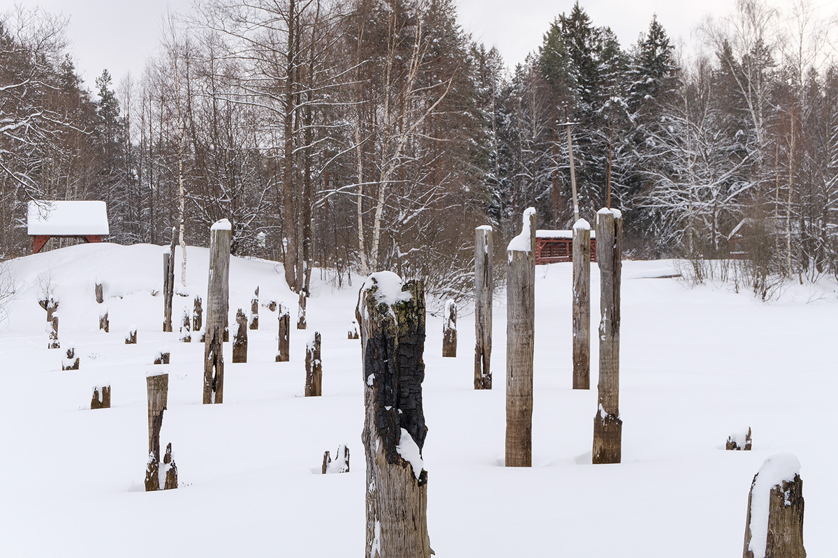 У аномальных мест Владимирской области появилась звуковая карта. Чтобы соединить актуальное искусство и мифологию края, современная художница Ульяна Подкорытова отправилась в исследовательскую экспедицию. И мы вместе с ней.