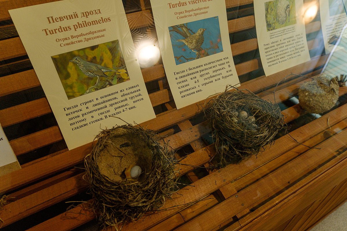 У аномальных мест Владимирской области появилась звуковая карта. Чтобы соединить актуальное искусство и мифологию края, современная художница Ульяна Подкорытова отправилась в исследовательскую экспедицию. И мы вместе с ней.