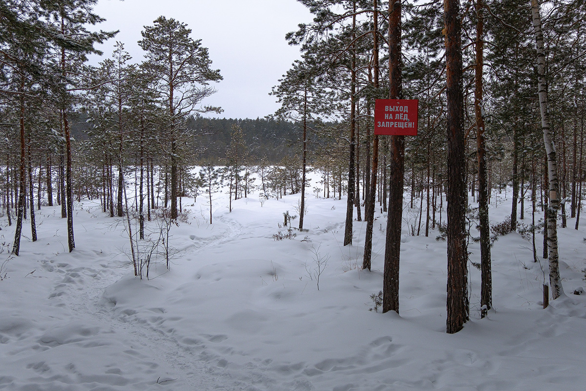 У аномальных мест Владимирской области появилась звуковая карта. Чтобы соединить актуальное искусство и мифологию края, современная художница Ульяна Подкорытова отправилась в исследовательскую экспедицию. И мы вместе с ней.