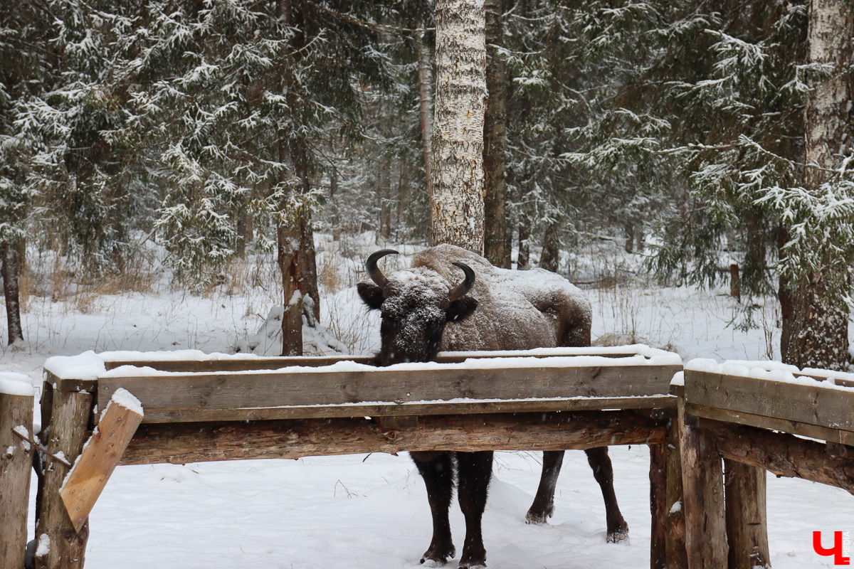 Свежая партия проектов благоустройства прибыла. Где и что новенькое сделают в 2021 году?
