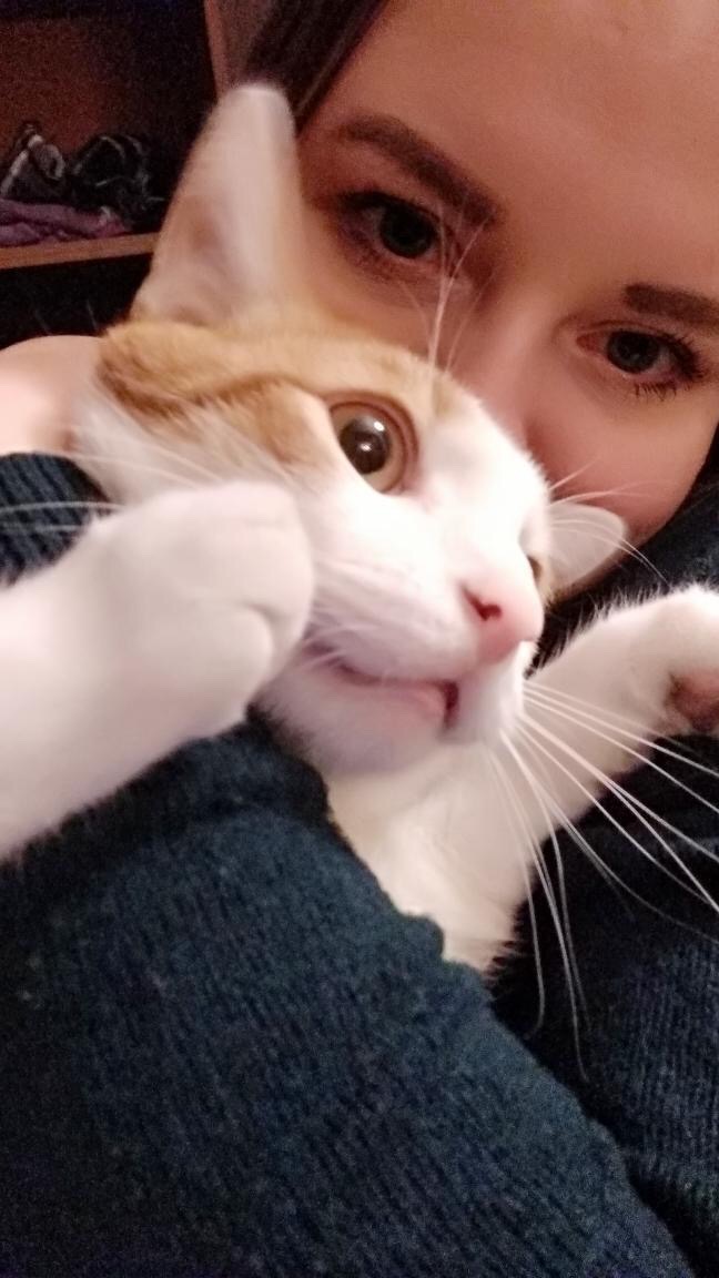 1 марта отмечают День кошек, а это значит, что пора передать привет хвостатым и усатым меньшим братьям, запечатленным в фотографиях счастливых владимирских хозяев.