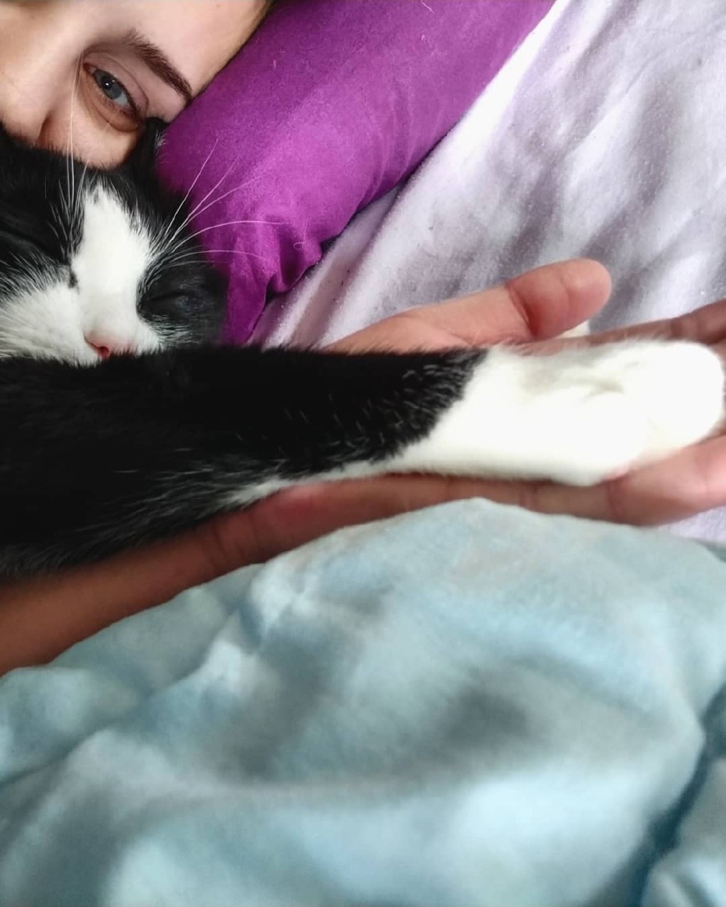 1 марта отмечают День кошек, а это значит, что пора передать привет хвостатым и усатым меньшим братьям, запечатленным в фотографиях счастливых владимирских хозяев.