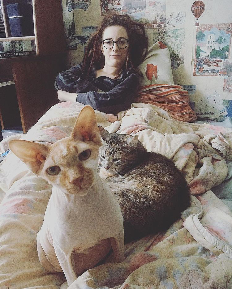 1 марта отмечают День кошек, а это значит, что пора передать привет хвостатым и усатым меньшим братьям, запечатленным в фотографиях счастливых владимирских хозяев.