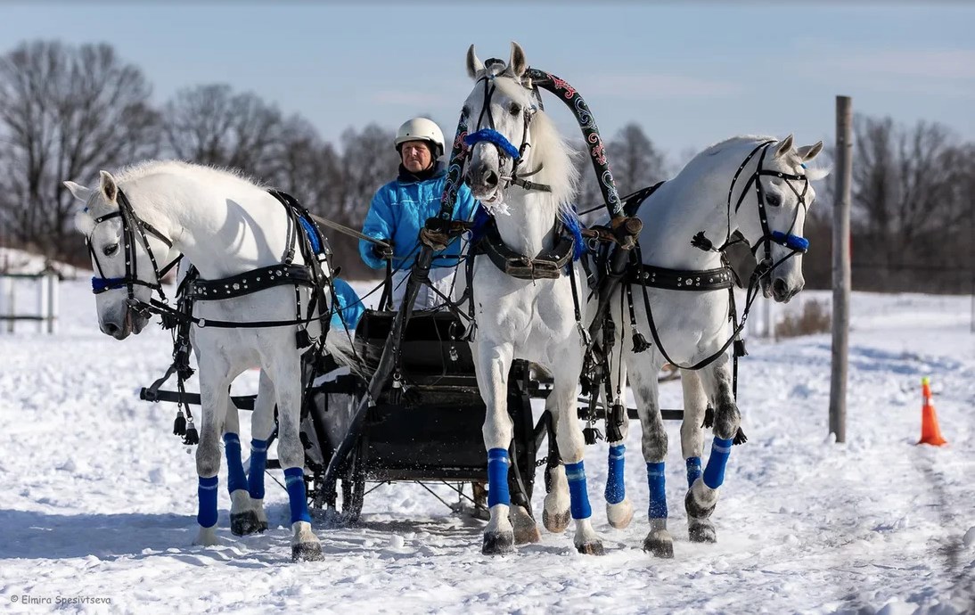 Гоголевские птицы-тройки во всей красе. Вот уже в 15-й раз во Владимирской области провели турнир «Владимирский тракт». В нем поучаствовали 7 экипажей.