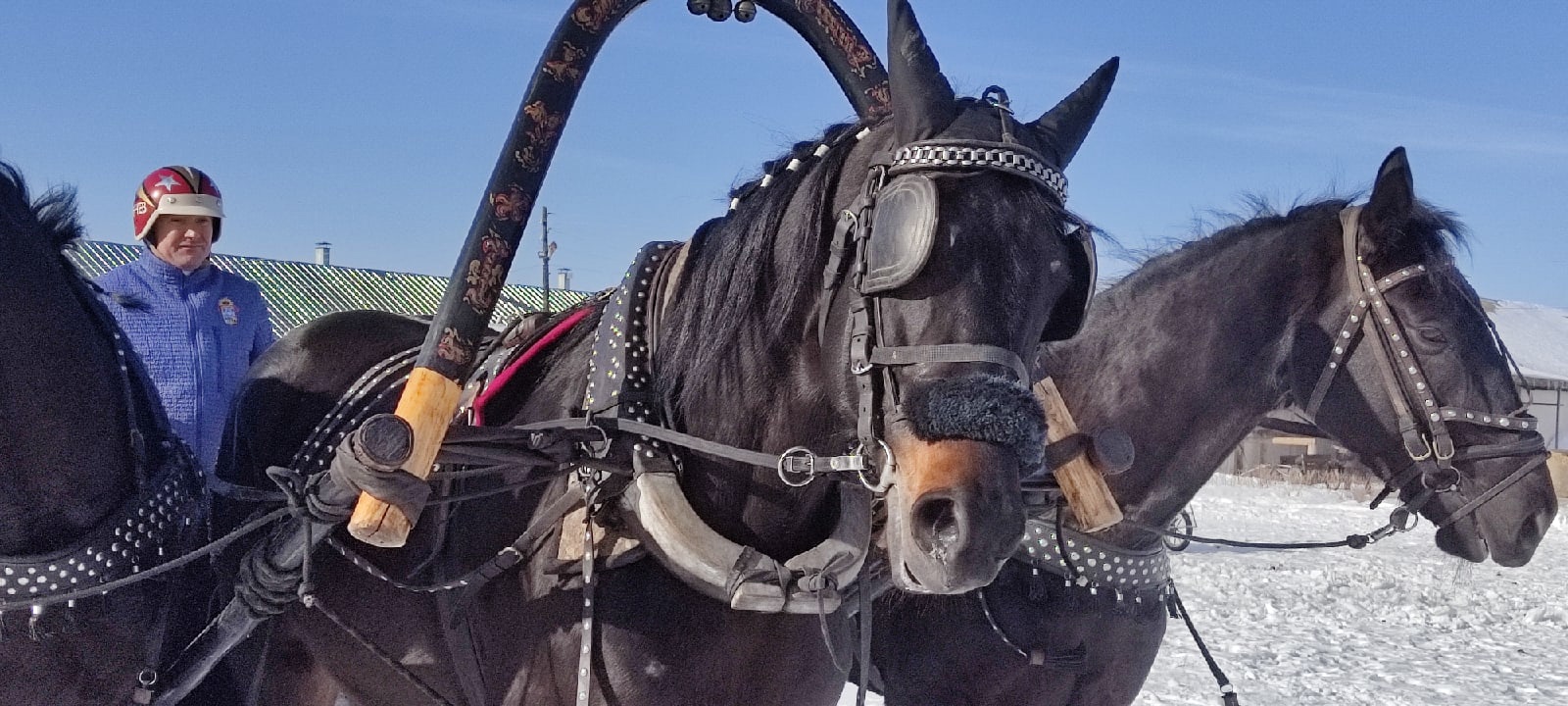 Гоголевские птицы-тройки во всей красе. Вот уже в 15-й раз во Владимирской области провели турнир «Владимирский тракт». В нем поучаствовали 7 экипажей.