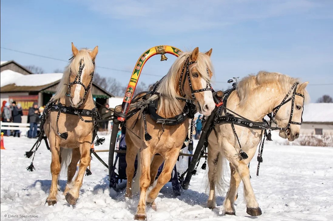Гоголевские птицы-тройки во всей красе. Вот уже в 15-й раз во Владимирской области провели турнир «Владимирский тракт». В нем поучаствовали 7 экипажей.