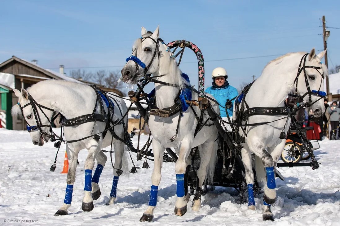 Гоголевские птицы-тройки во всей красе. Вот уже в 15-й раз во Владимирской области провели турнир «Владимирский тракт». В нем поучаствовали 7 экипажей.