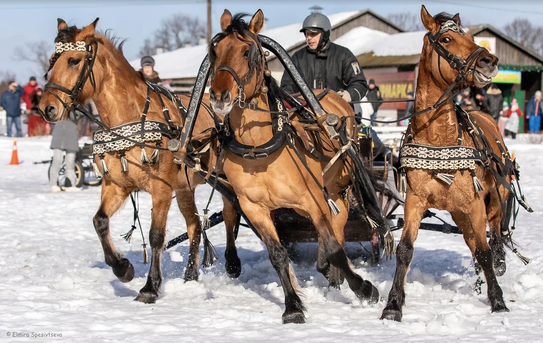 Гоголевские птицы-тройки во всей красе. Вот уже в 15-й раз во Владимирской области провели турнир «Владимирский тракт». В нем поучаствовали 7 экипажей.