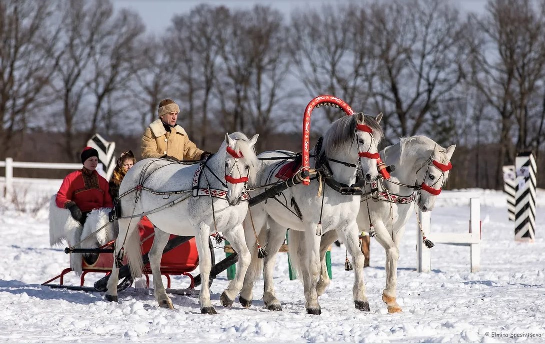 Гоголевские птицы-тройки во всей красе. Вот уже в 15-й раз во Владимирской области провели турнир «Владимирский тракт». В нем поучаствовали 7 экипажей.