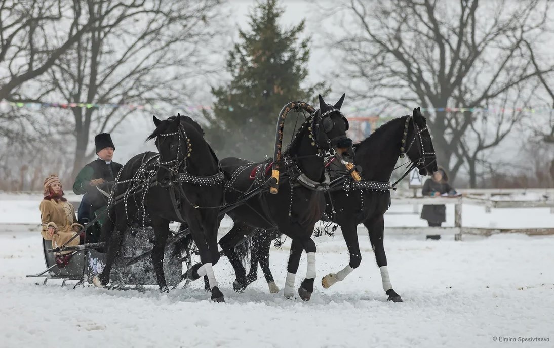 Гоголевские птицы-тройки во всей красе. Вот уже в 15-й раз во Владимирской области провели турнир «Владимирский тракт». В нем поучаствовали 7 экипажей.