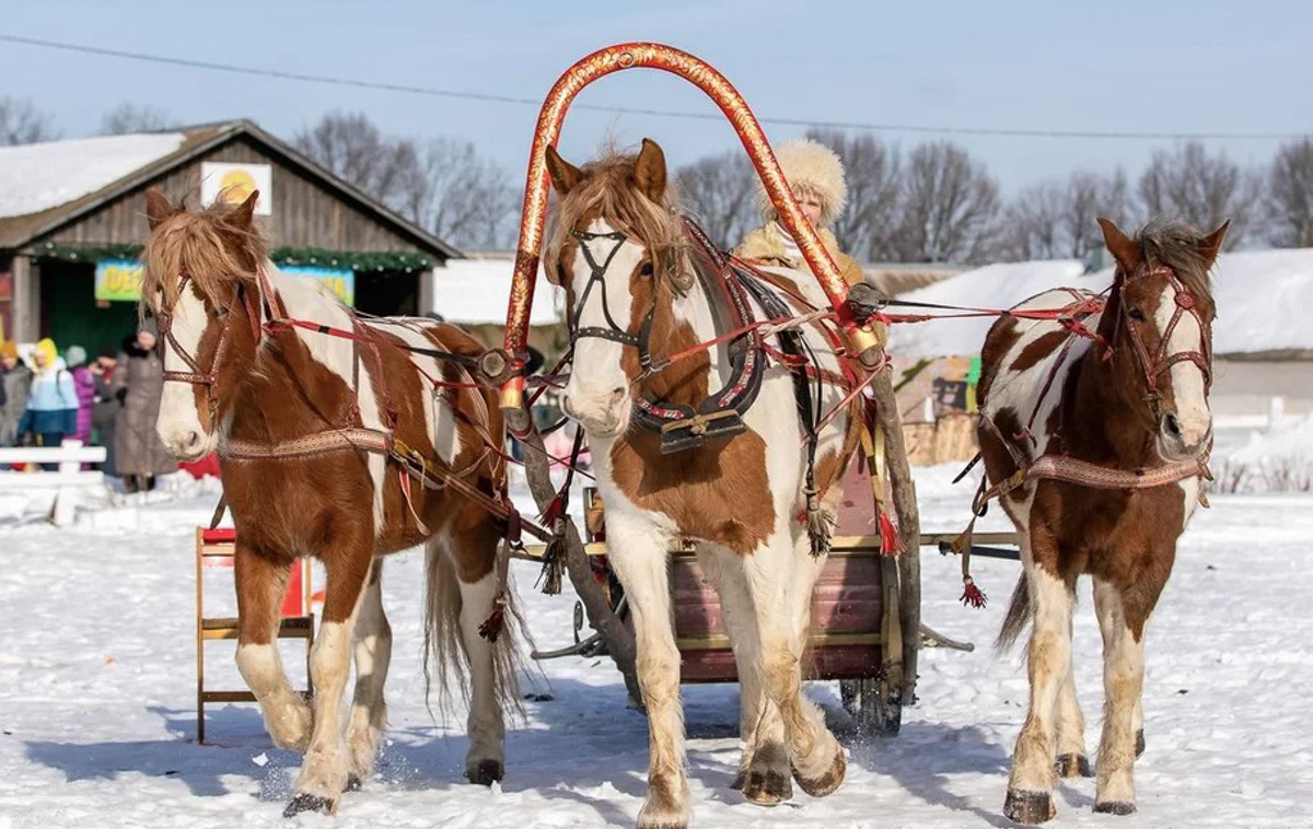 Гоголевские птицы-тройки во всей красе. Вот уже в 15-й раз во Владимирской области провели турнир «Владимирский тракт». В нем поучаствовали 7 экипажей.