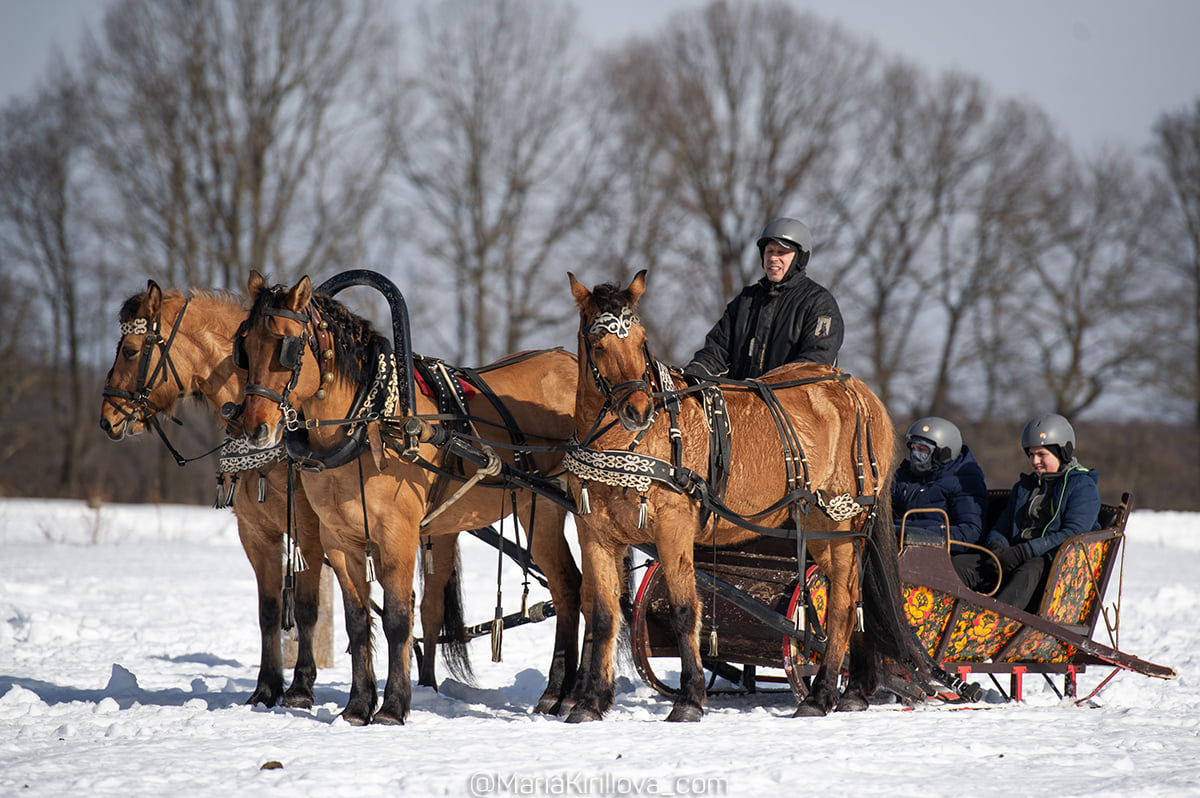 Гоголевские птицы-тройки во всей красе. Вот уже в 15-й раз во Владимирской области провели турнир «Владимирский тракт». В нем поучаствовали 7 экипажей.