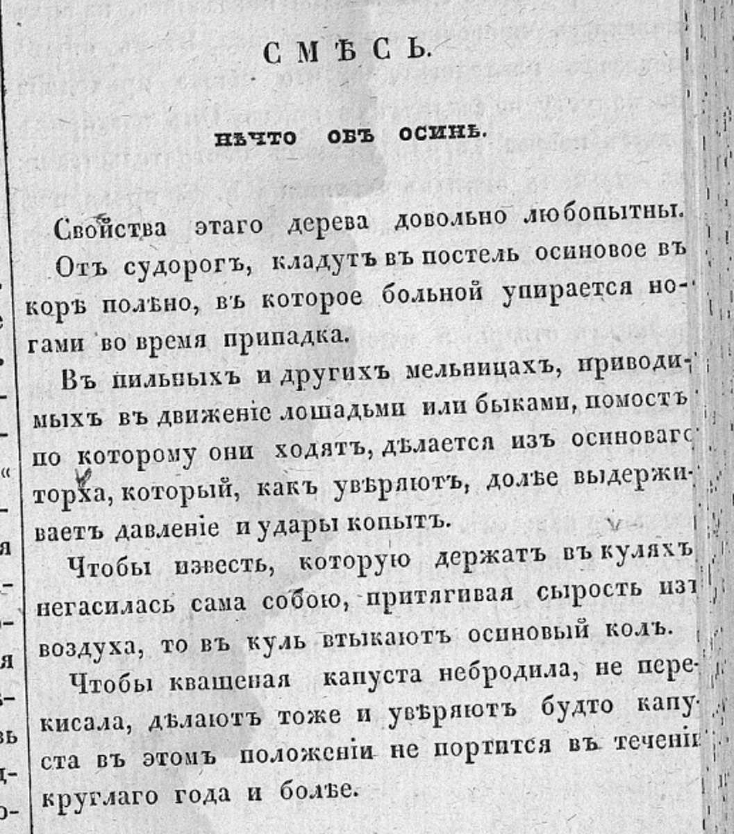От черного юмора до любовных треугольников - все это было в прессе и 200 лет назад. Составили для вас подборку публикаций владимирских газет XIX века.