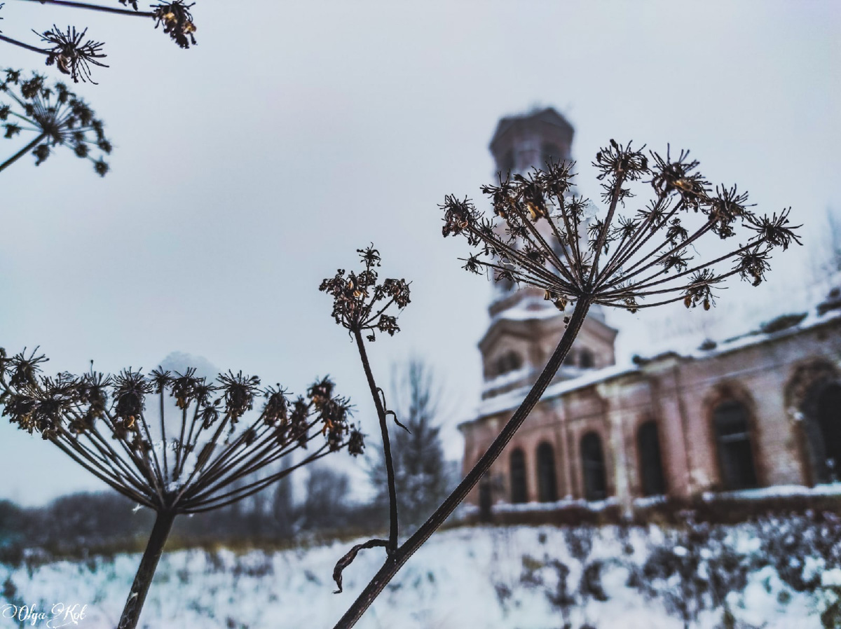 Блогер Ольга Кот побывала в селе Леонтьево Камешковского района и поделилась с нами замечательными фотографиями. Мы разузнали побольше о месте и делимся с вами историей.