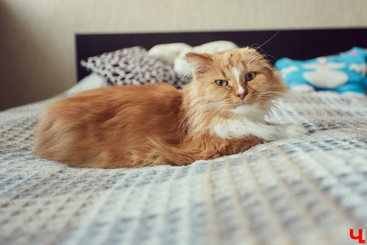 Изучаем плюсы и минусы жизни в историческом здании на центральной улице города вместе с журналистом и фотографом Александром Мясниковым.