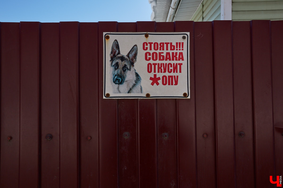 Окрест бывшей Грабиловки: прибрежные заросли бывших огородов, коммуна кришнаитов в доме Мочалиной и закопанный клад. Какие еще тайны помнит Николо-Галейская улица?