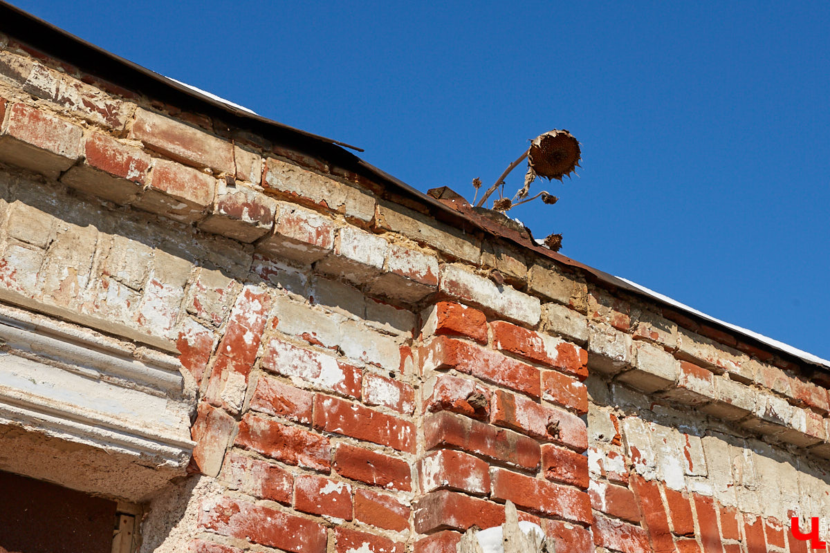 Окрест бывшей Грабиловки: прибрежные заросли бывших огородов, коммуна кришнаитов в доме Мочалиной и закопанный клад. Какие еще тайны помнит Николо-Галейская улица?