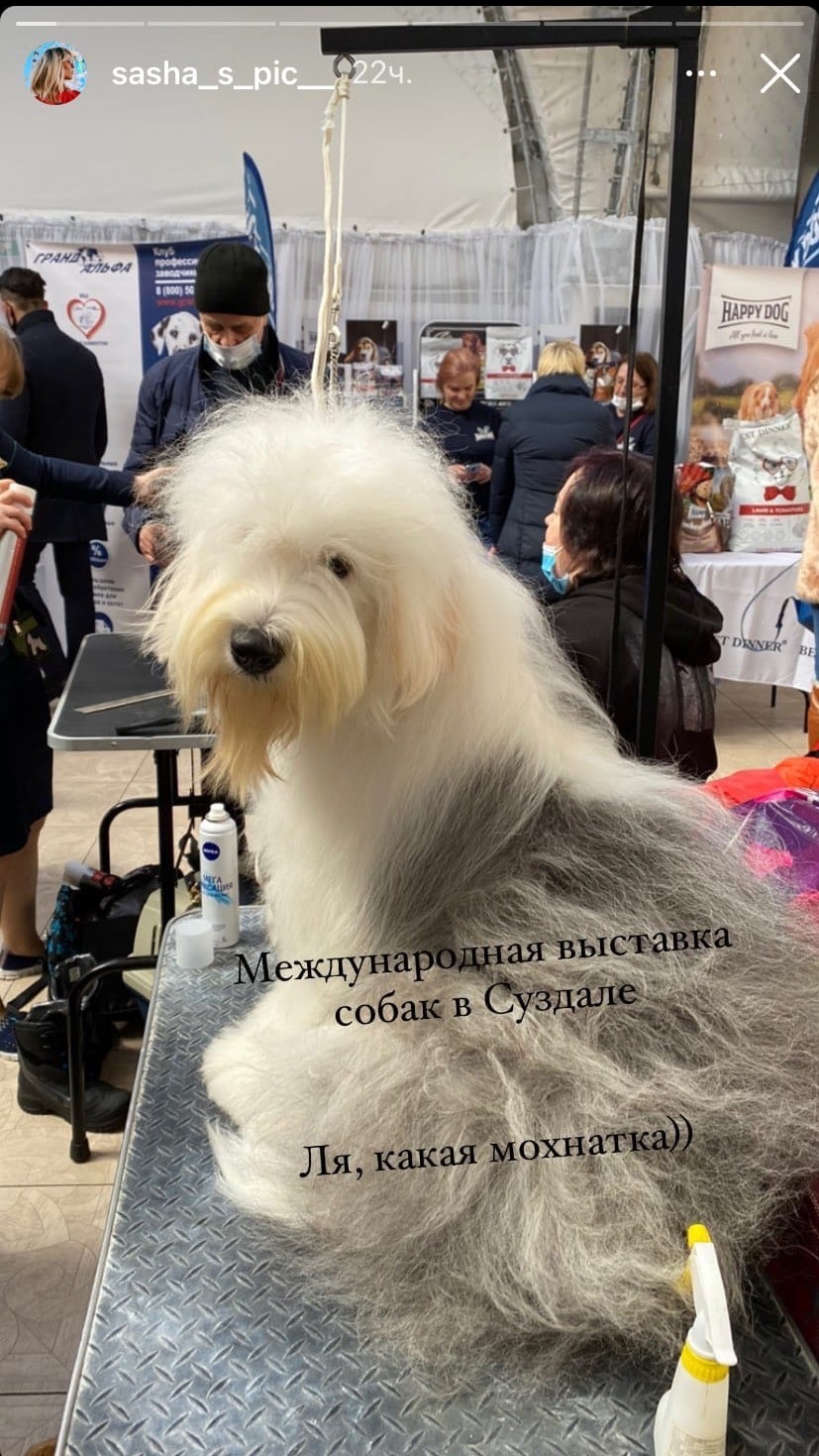 Джиббинг на сноуборде, туса барабанщиков и гадание по камасутре: как говорится, не зовите меня, если ваши выходные не похожи на уикенд владимирцев.