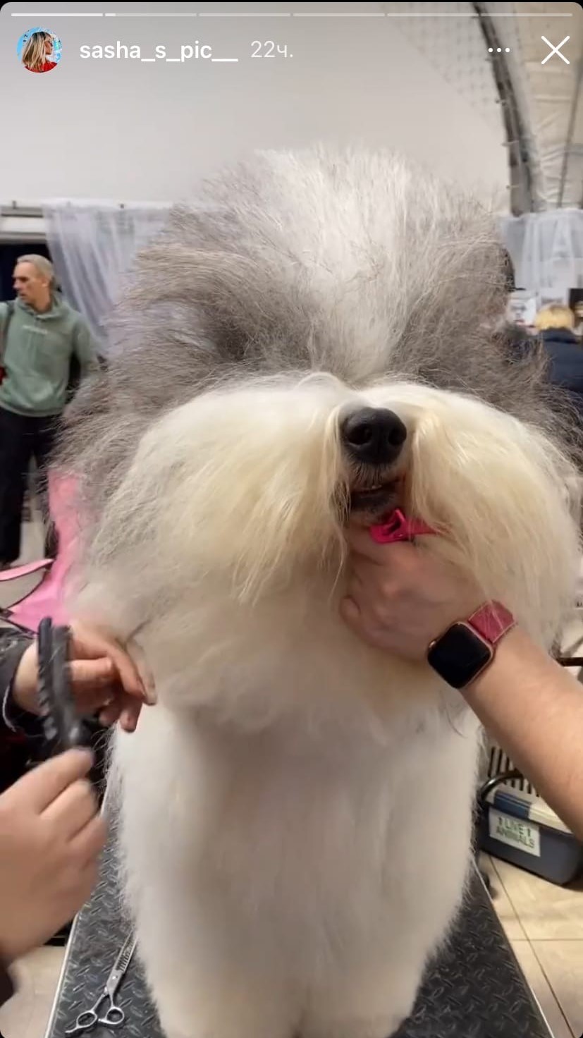 Джиббинг на сноуборде, туса барабанщиков и гадание по камасутре: как говорится, не зовите меня, если ваши выходные не похожи на уикенд владимирцев.