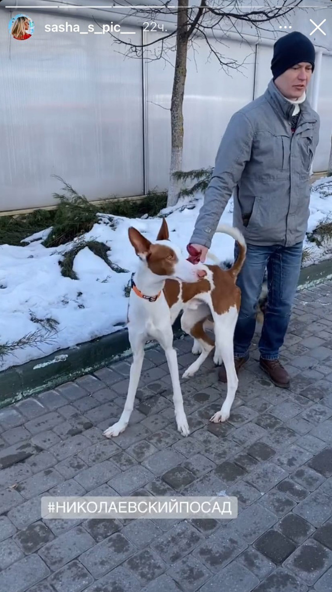 Джиббинг на сноуборде, туса барабанщиков и гадание по камасутре: как говорится, не зовите меня, если ваши выходные не похожи на уикенд владимирцев.