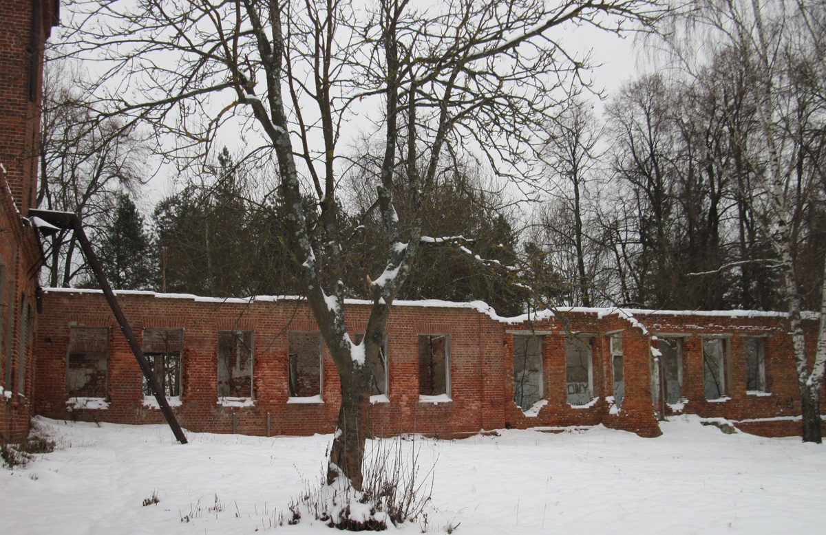 Есть во Мстёре немало интересных зданий. Одно из них - бывшая земская больница, построенная в 1913-1915 годах. Сейчас она заброшена и разрушается. Пока живы хотя бы руины, взглянули на них и вспомнили историю.