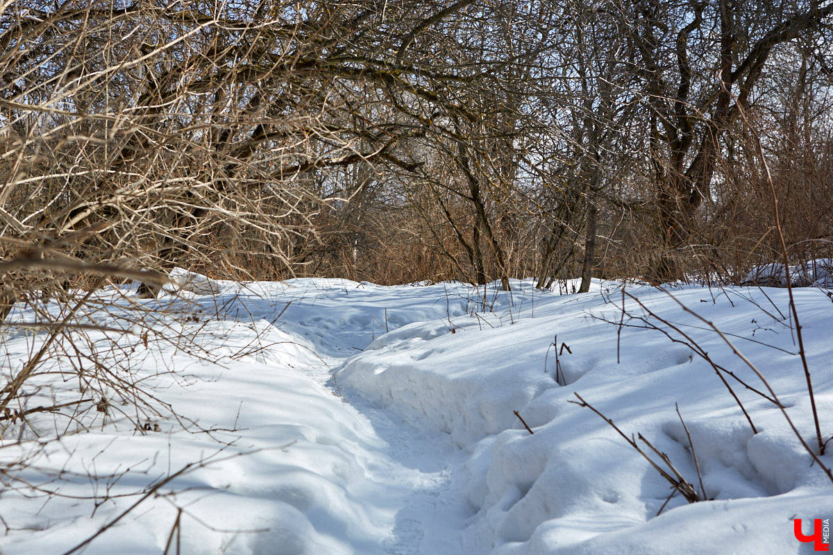Главный архитектор города Андрей Быков подробно рассказал «Ключ-Медиа» о новом Генплане, уплотнении застроек и развитии зеленых зон.