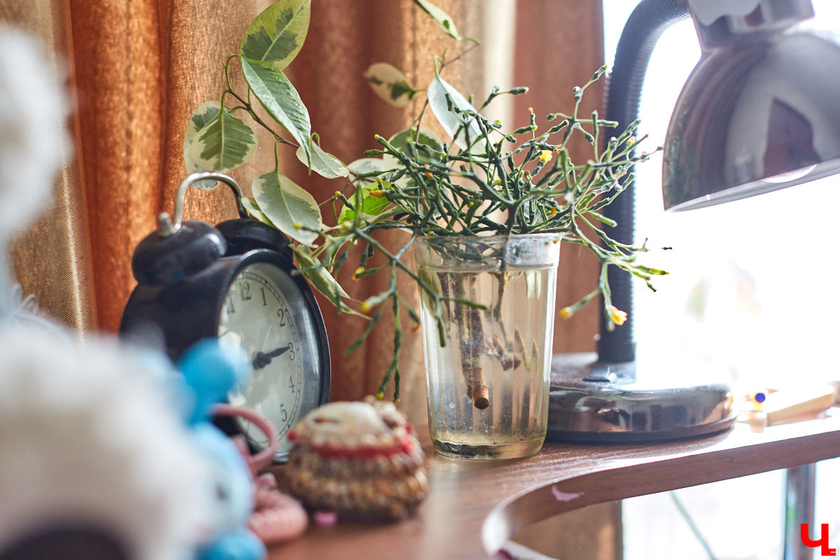 Сегодня мы расскажем вам об очередной владимирской «сталинке», которая стала «домом мечты» для Екатерины и Дмитрия Глазковых.