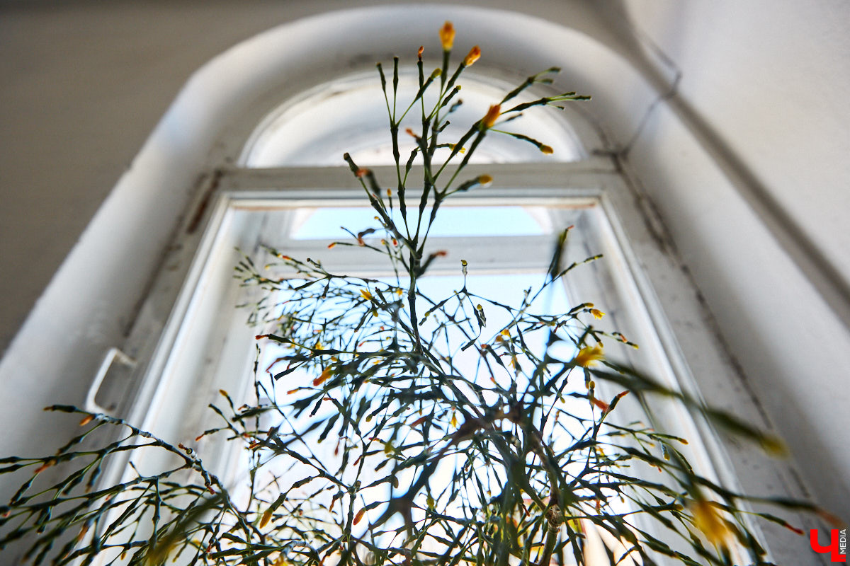 Сегодня мы расскажем вам об очередной владимирской «сталинке», которая стала «домом мечты» для Екатерины и Дмитрия Глазковых.