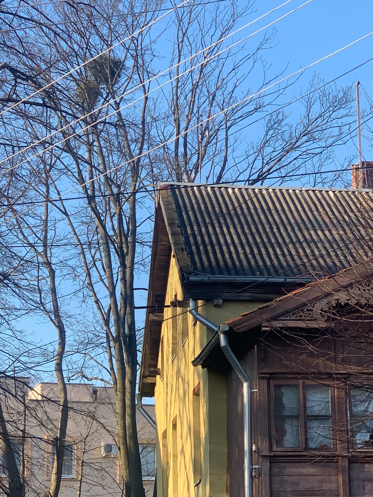 Легко ли переехать из Владимира в другой город или даже страну? Да и нужно ли? Трое очаровательных девушек поделились опытом и сравнили наш город с Сочи, Калининградом и Амстердамом.