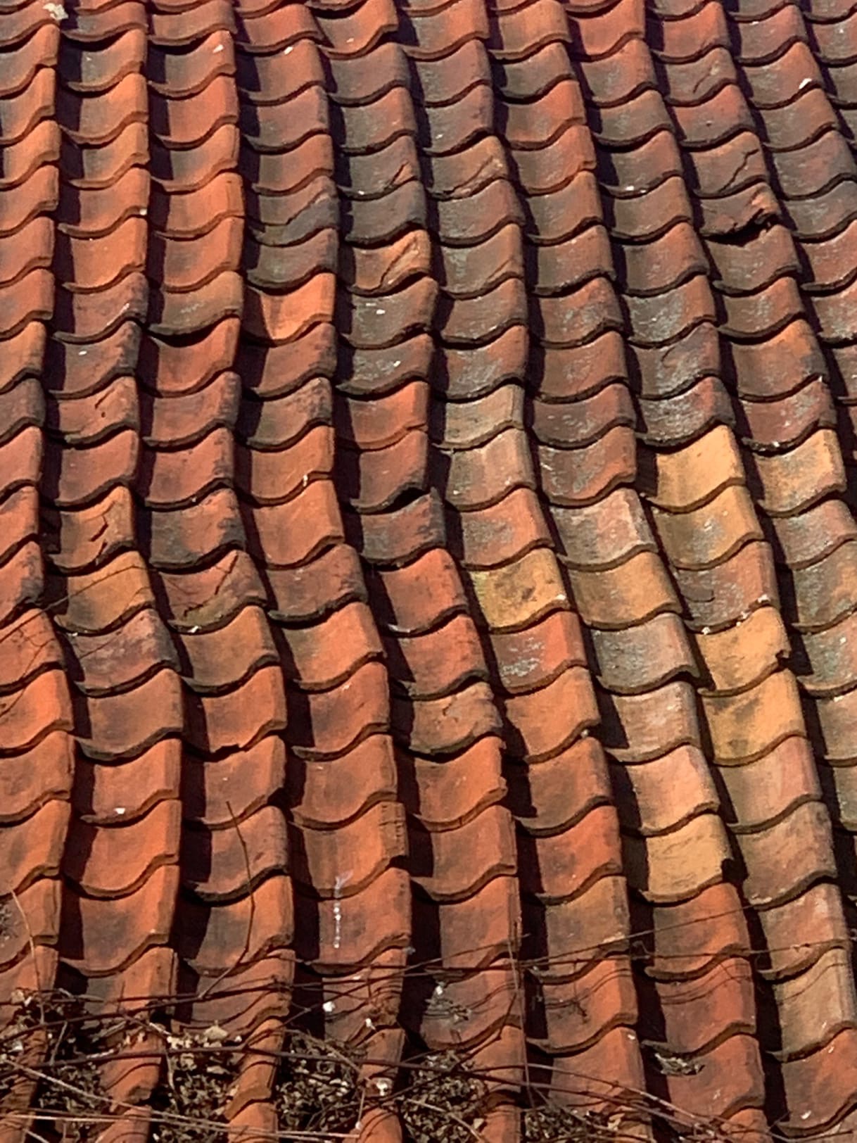 Легко ли переехать из Владимира в другой город или даже страну? Да и нужно ли? Трое очаровательных девушек поделились опытом и сравнили наш город с Сочи, Калининградом и Амстердамом.