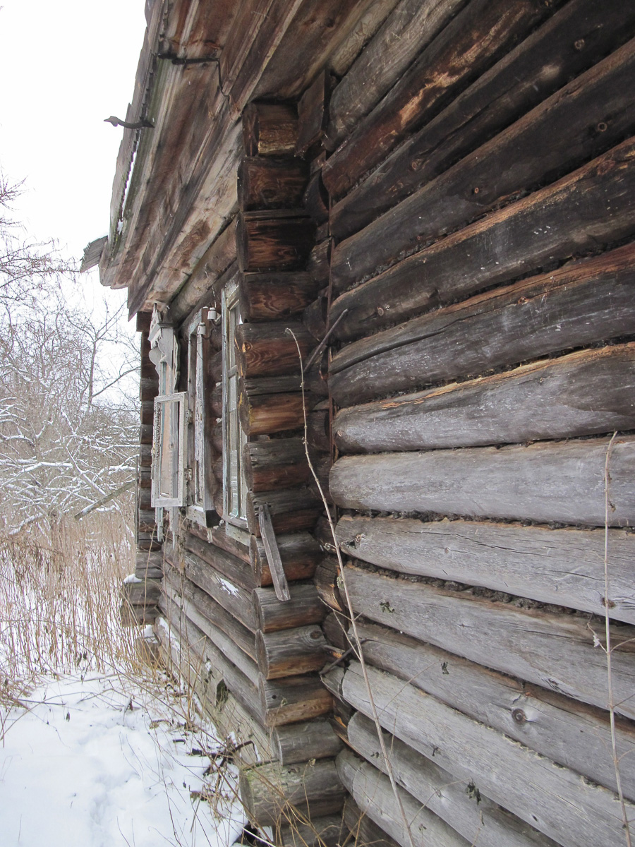 Фотограф Игорь Федоров недавно побывал в заброшенной деревне Сувориха Ковровского района. Снимками из этого необычного места он поделился с нами.