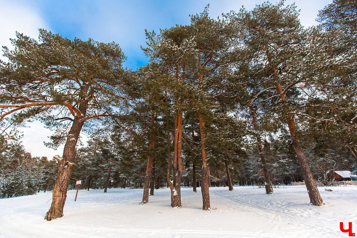 Парк «Добросельский» ждет второй этап реновации. Каким он будет? Решат владимирцы. Но это не все! Судьбоносные решения примут также о садах за ДТЮ, Загородном парке и стадионе «Торпедо».