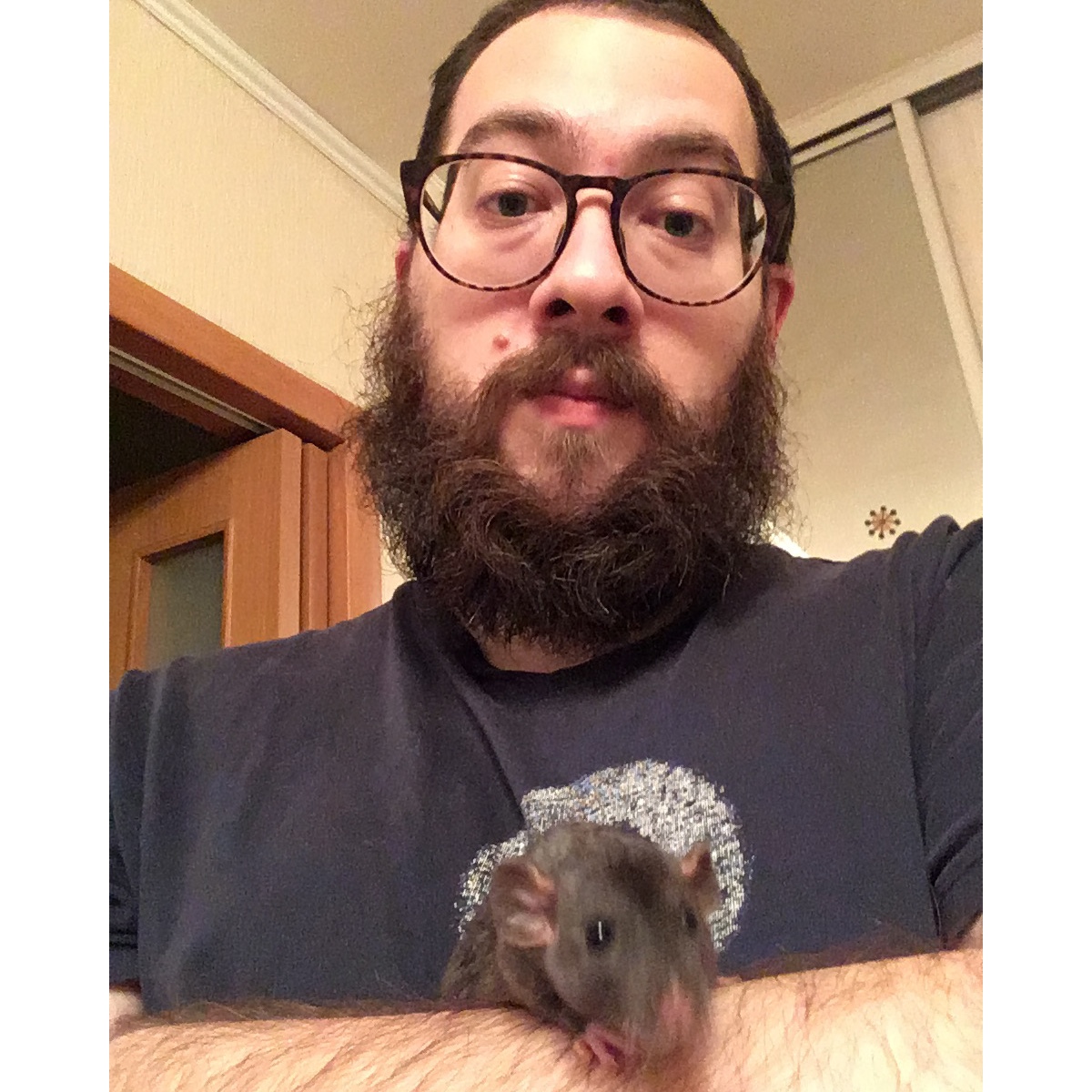 Погружаемся в клубный лаундж с мастером саксофона Ильей Марселем, влюбляемся в мечту «Дома культуры», радуемся взаимности под песню сестер Каратыгиных, после чего падаем в электронику с альбомом Сергея Черемисинова и драм-н-бейсом Андрея Унгера, создающего музыку для проекта «Synthetic Dreams».