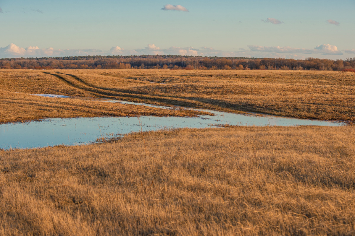Несколько дней назад этот самый живописный момент наступил; храм Покрова на Нерли купается в лучах солнца, окруженный разгулявшейся рекой. Насладимся его красотами вместе с владимирскими путешественниками.