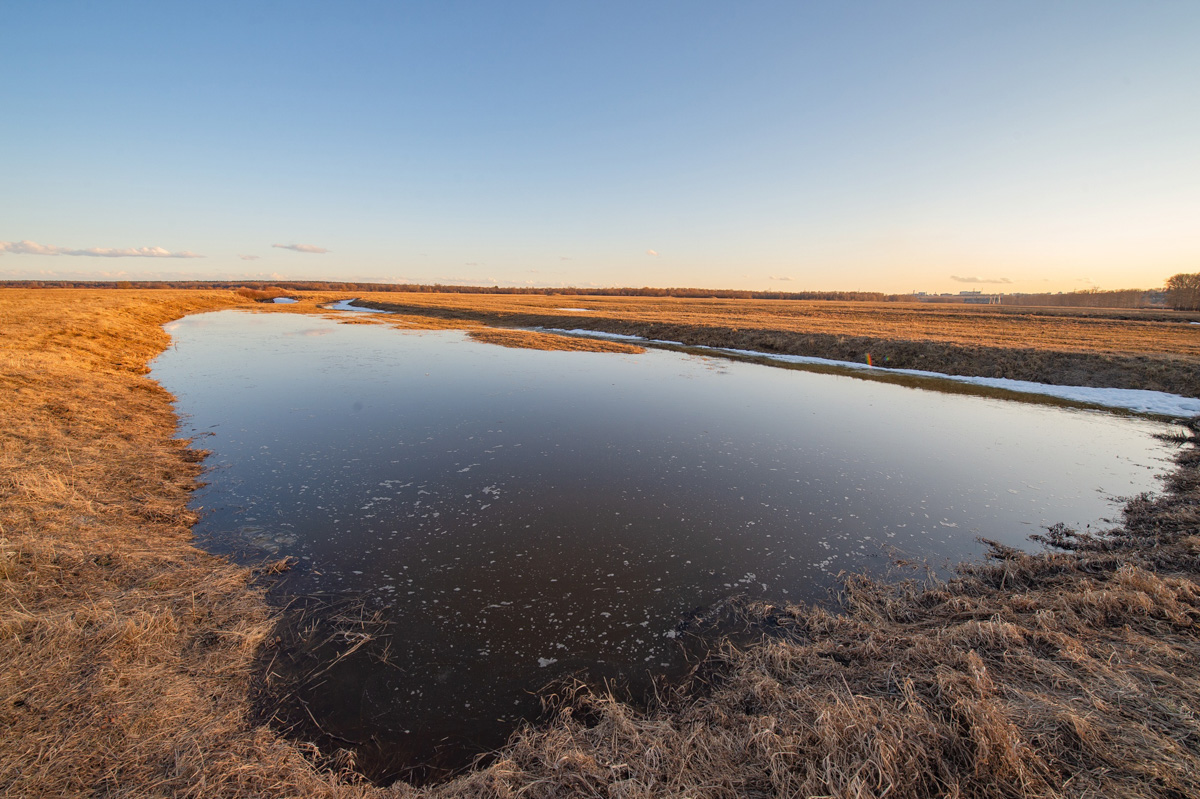 Несколько дней назад этот самый живописный момент наступил; храм Покрова на Нерли купается в лучах солнца, окруженный разгулявшейся рекой. Насладимся его красотами вместе с владимирскими путешественниками.